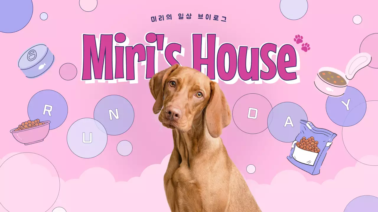 핑크색의 아기자기한 반려동물 유튜브 동영상