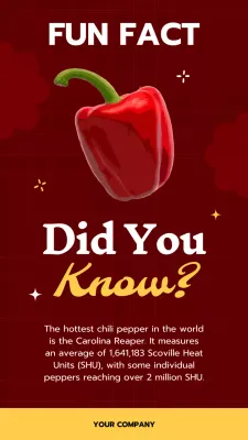 Red Bold Chili Information Instagram Post