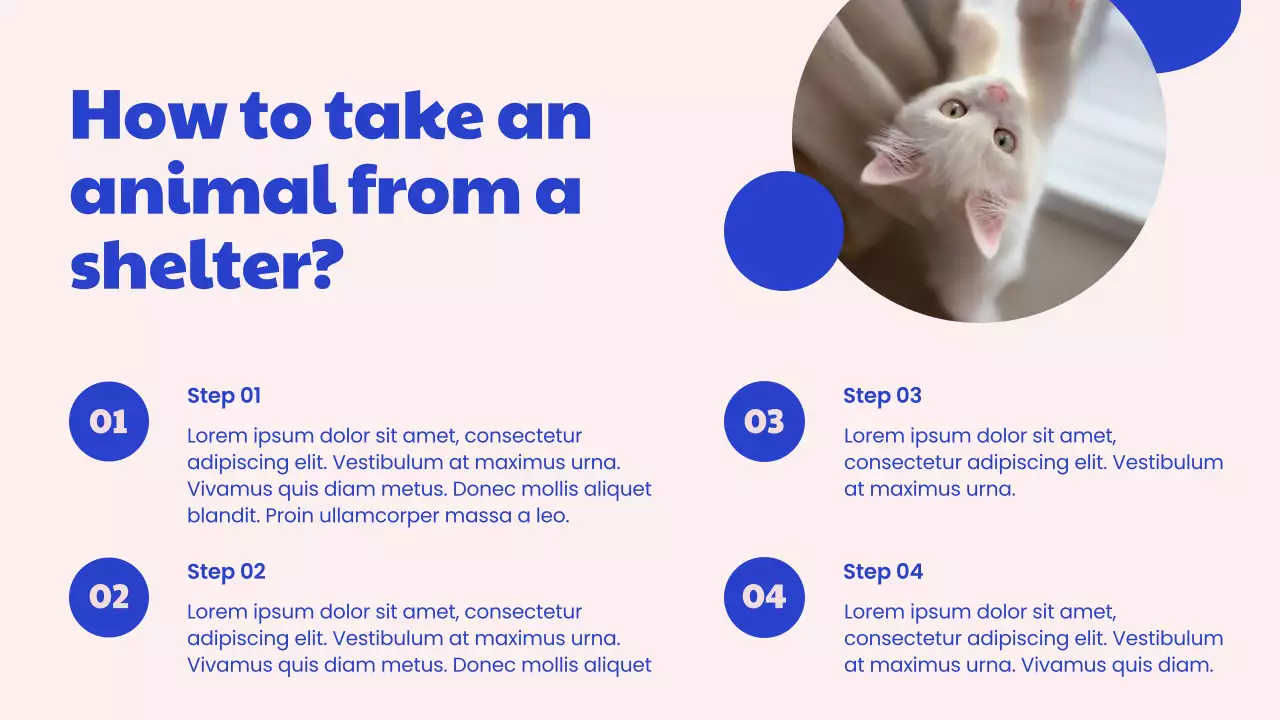 Blue Simple Pet Promotion Presentation