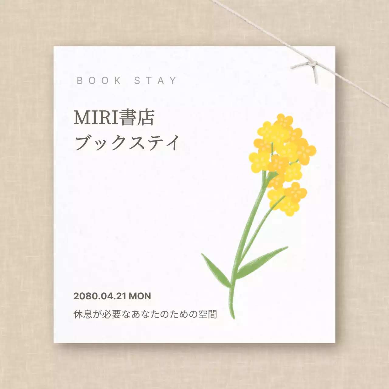 白 シンプル 書店 お知らせ SNS投稿 正方形