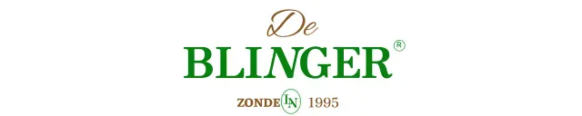 Vintage logo met stijlvol alfabet en cursieve versieringen