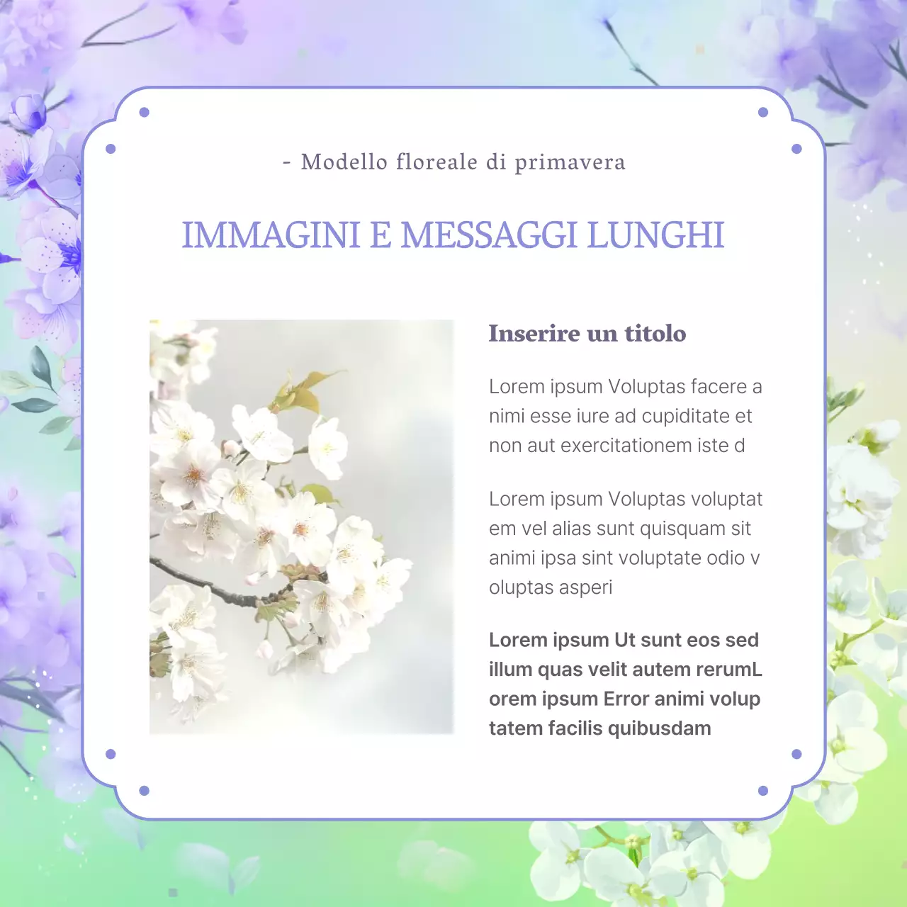 Presentazione di fiori di primavera viola e ortensie naturali