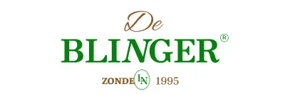 Vintage logo met stijlvol alfabet en cursieve versieringen