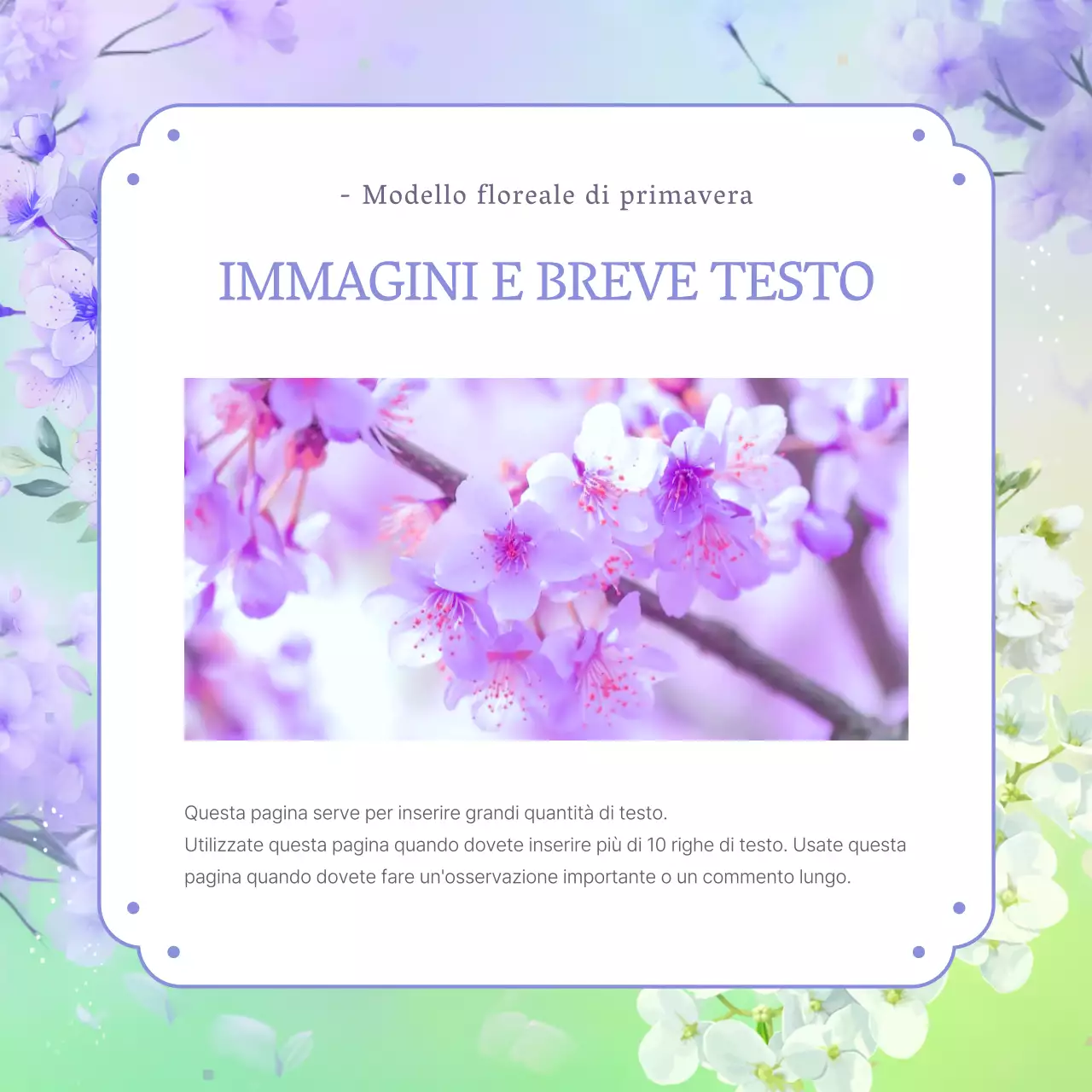 Presentazione di fiori di primavera viola e ortensie naturali