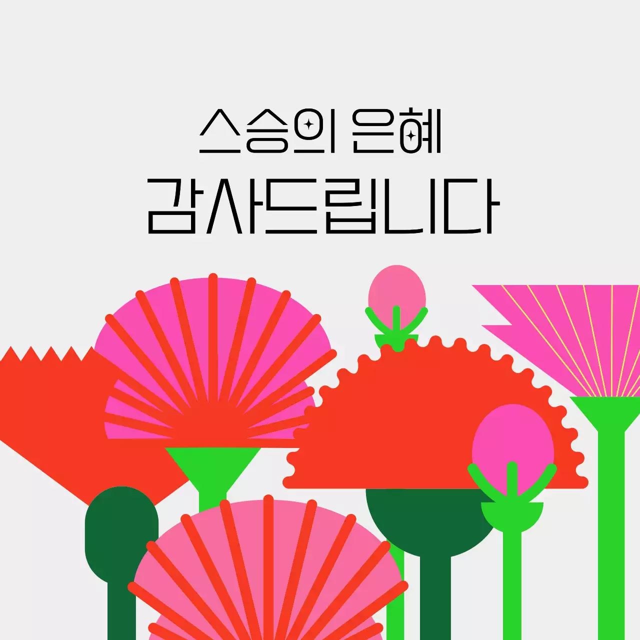 밝은 배경의 스승의날 카네이션 꽃밭