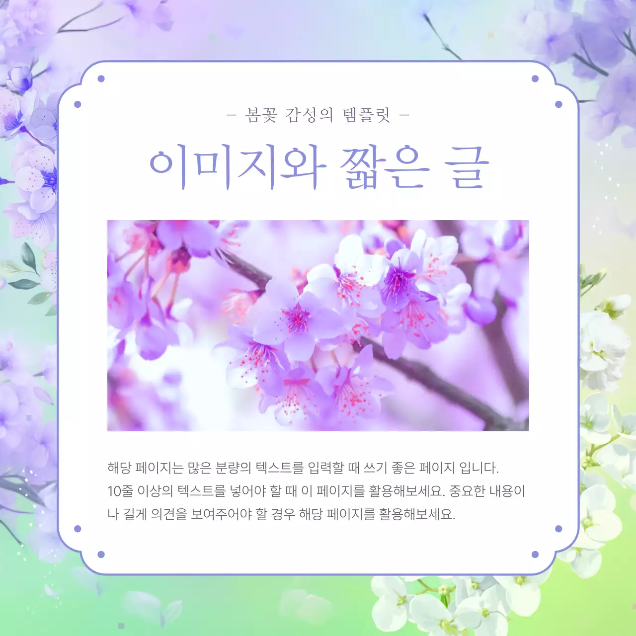 보라색과 자연의 수국 봄꽃 발표자료
