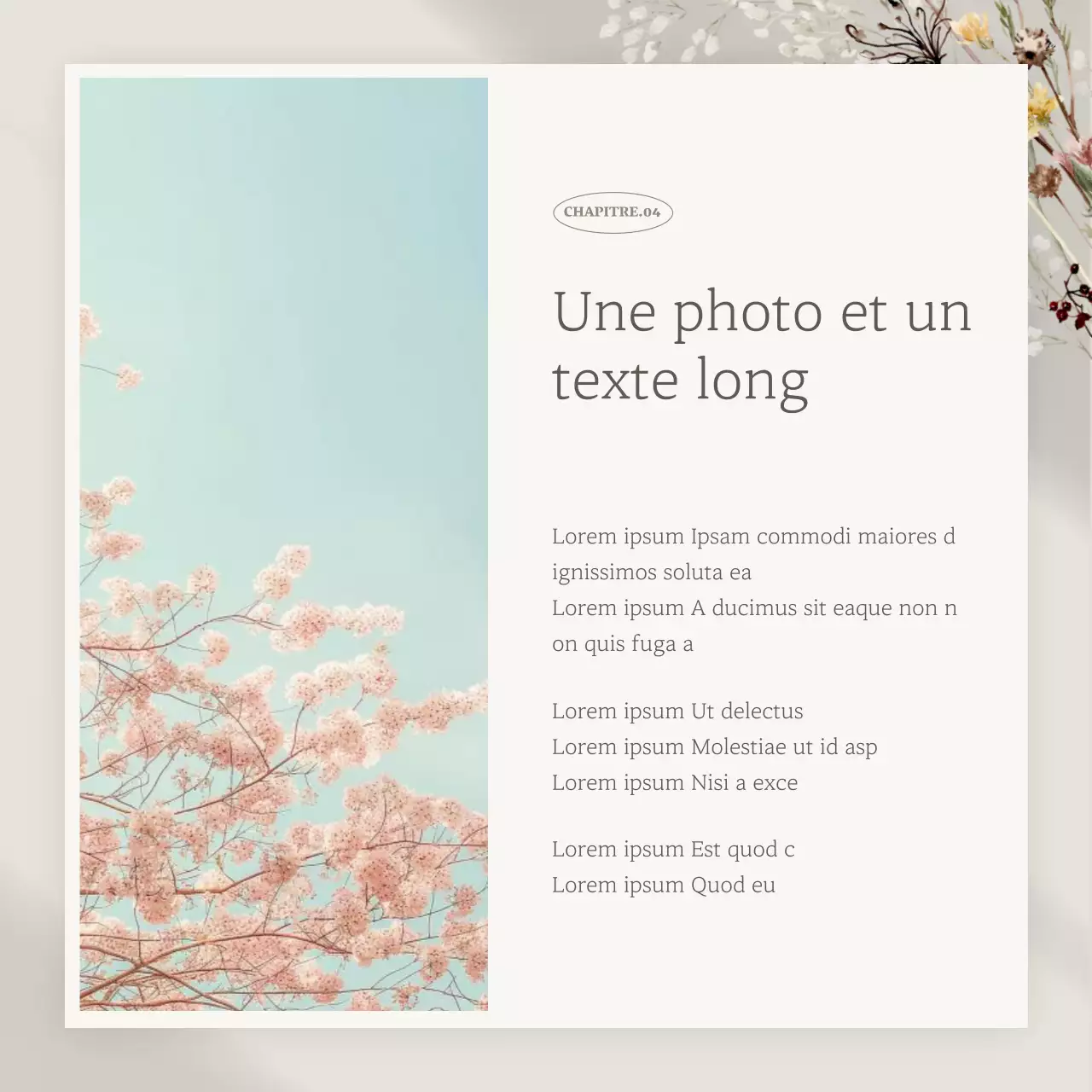 Promouvoir un marketing de marque de classe en beige