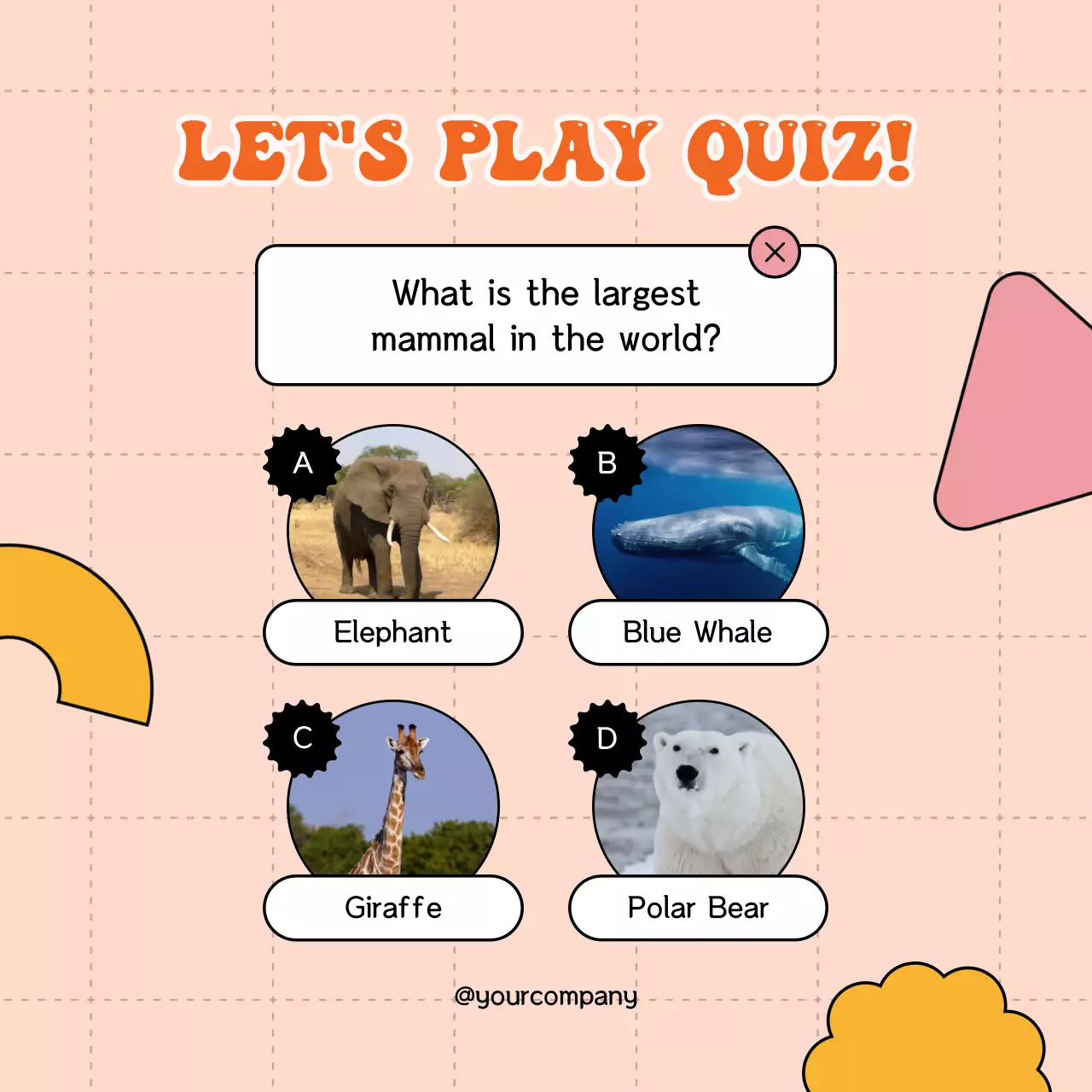 Orange Simple Trivia Quiz Publicity