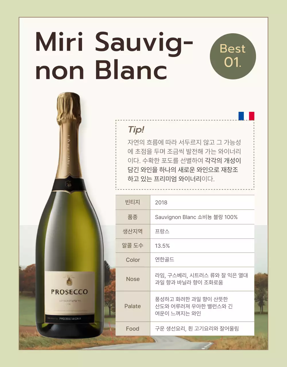 연두와 카키의 고급 와인 설명 홍보