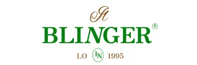 Logo vintage con alfabeto di classe e abbellimenti in corsivo