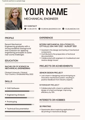 White Professional Engineer Resume