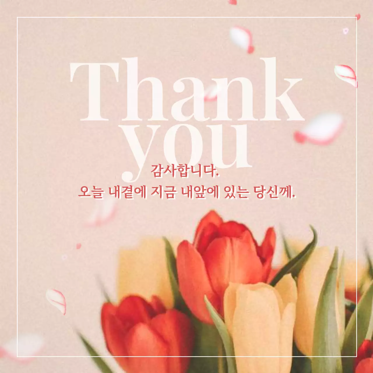 핑크의 심플한 감성글귀 공지