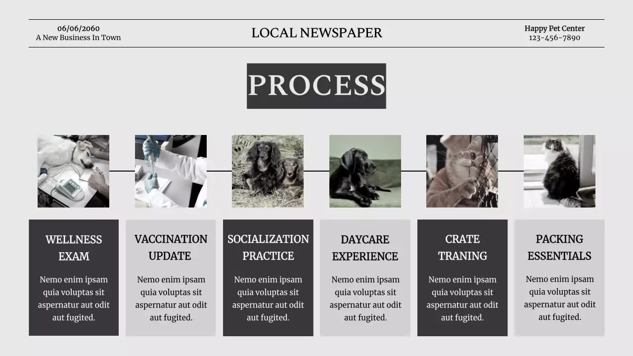 Grey Modern Pet News Newsletter Presentation