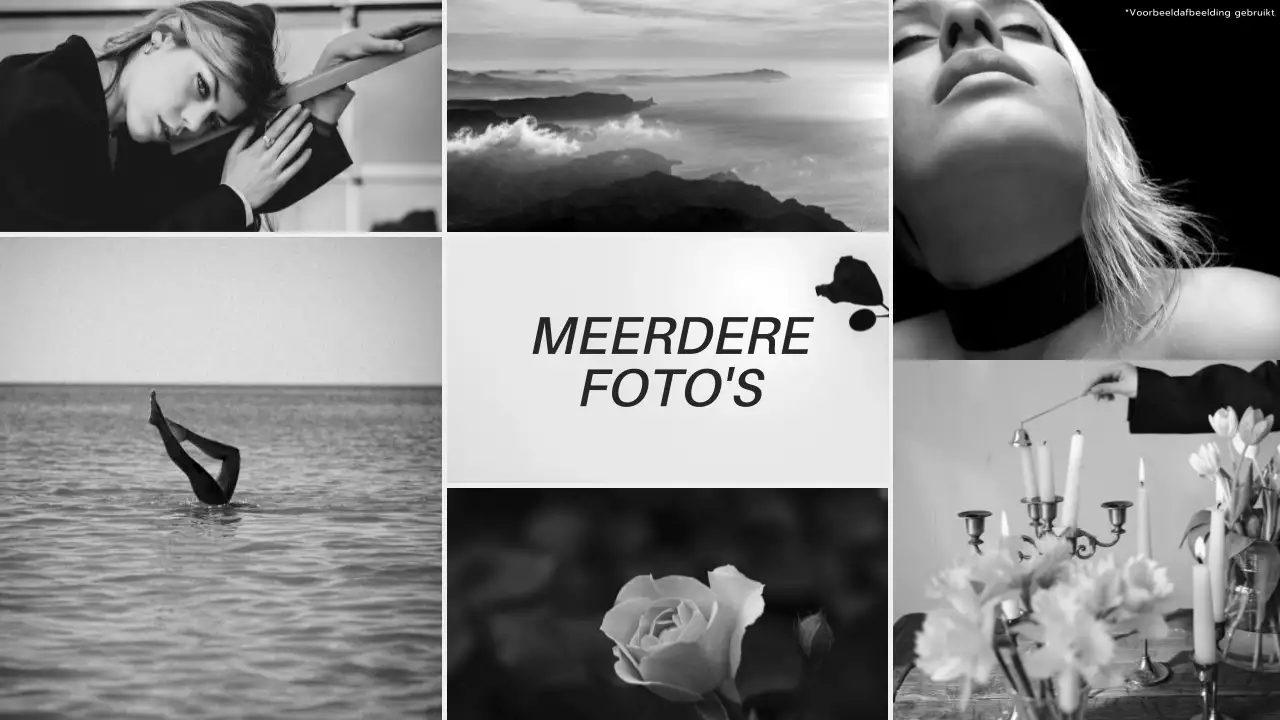 Beige en Grijs Moderne Esthetische Fotocollage Promotie