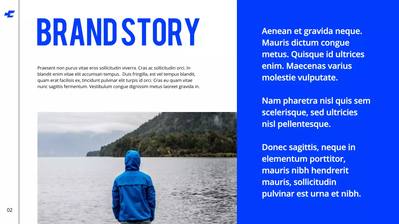 Blue Modern Brand Guidelines Presentation