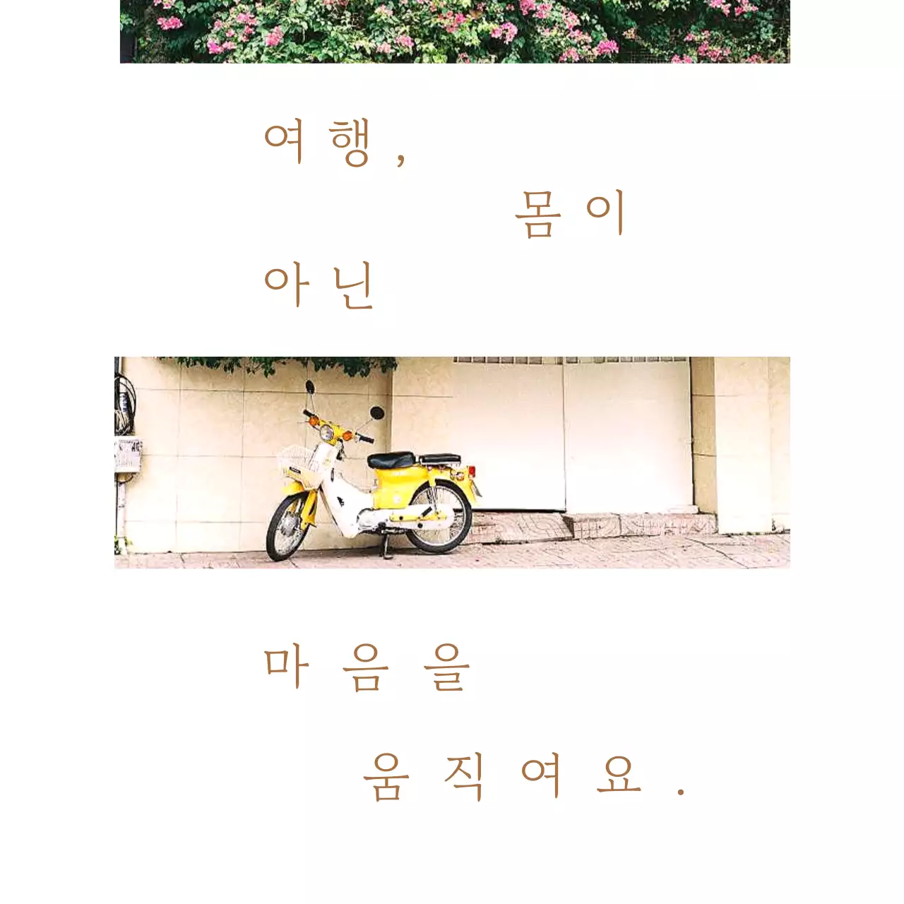 갈색과 초록의 심플한 감성글귀 게시글