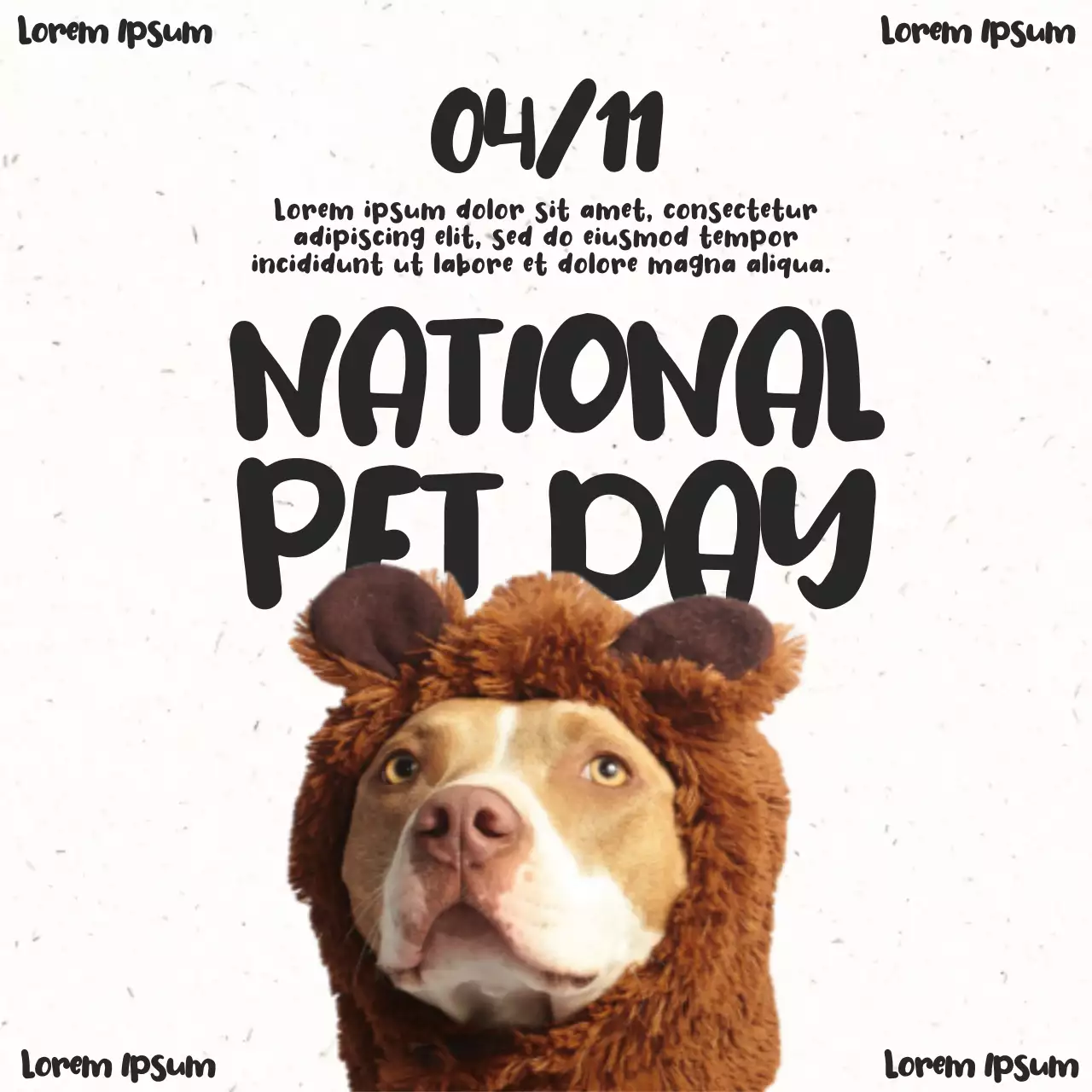 브라운 트렌디 반려동물 공지 소셜 미디어 게시물