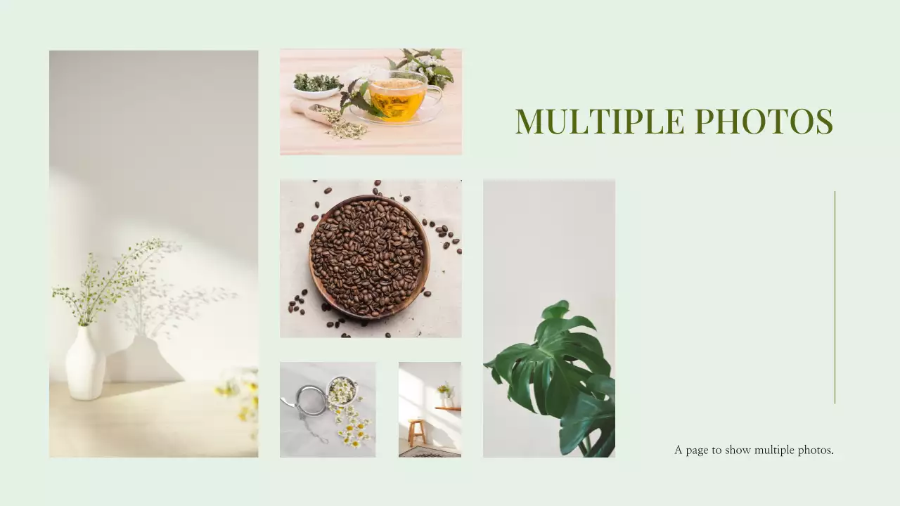 Verde Minimal Photo Collage Apresentação Portfólio de negócios