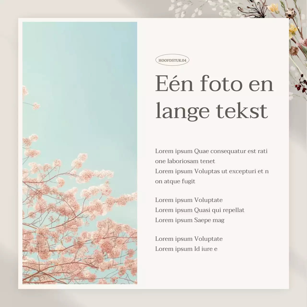 Promoot een stijlvolle merkmarketing in beige