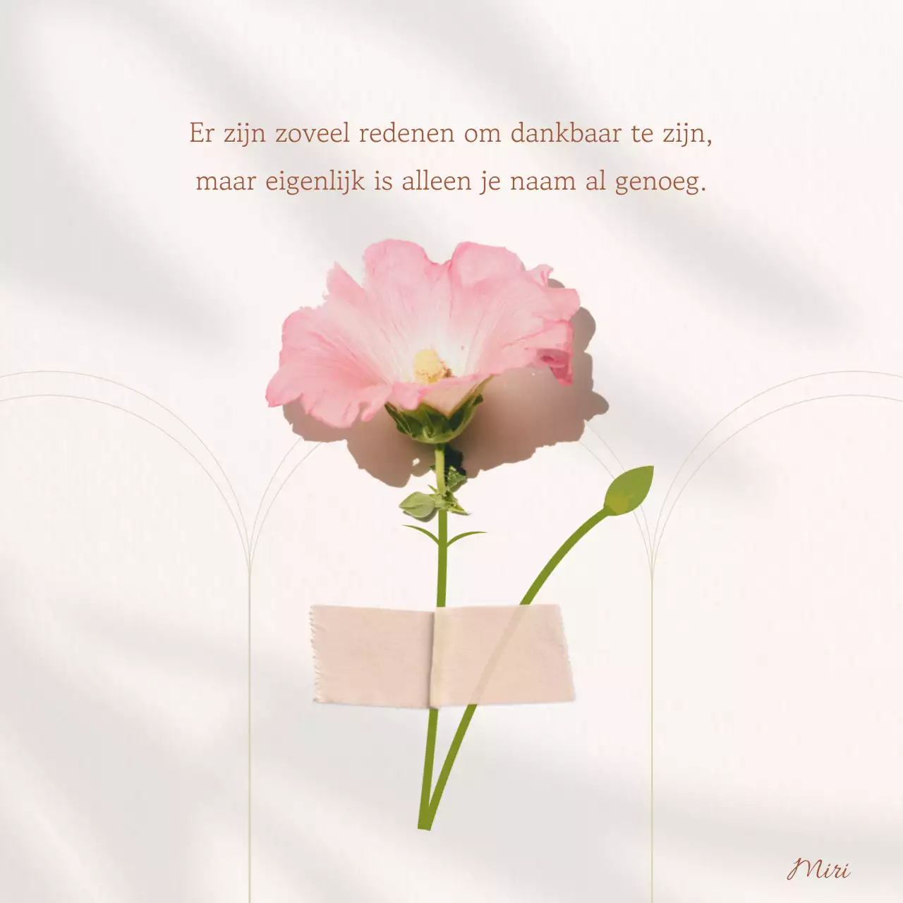 Een eenvoudige sentimentele post in roze en ivoor