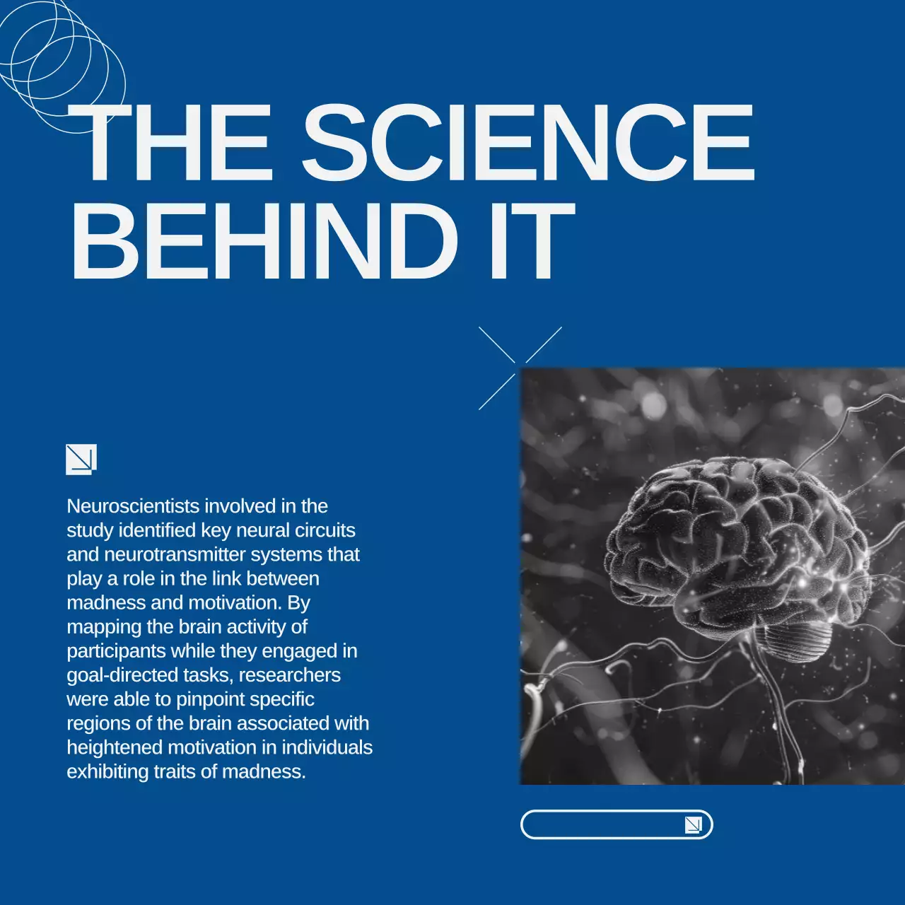 Blue Modern Neuroscience Guide Social Media Post