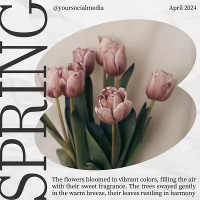 Pink Elegant Spring Announcement Social Media Post