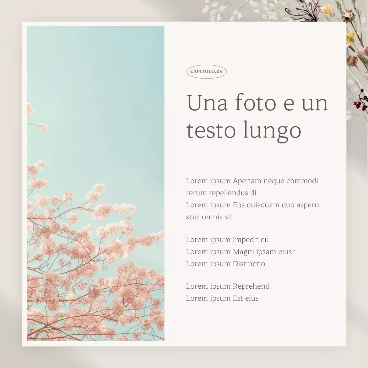 Promuovere il marketing di un marchio di classe in beige