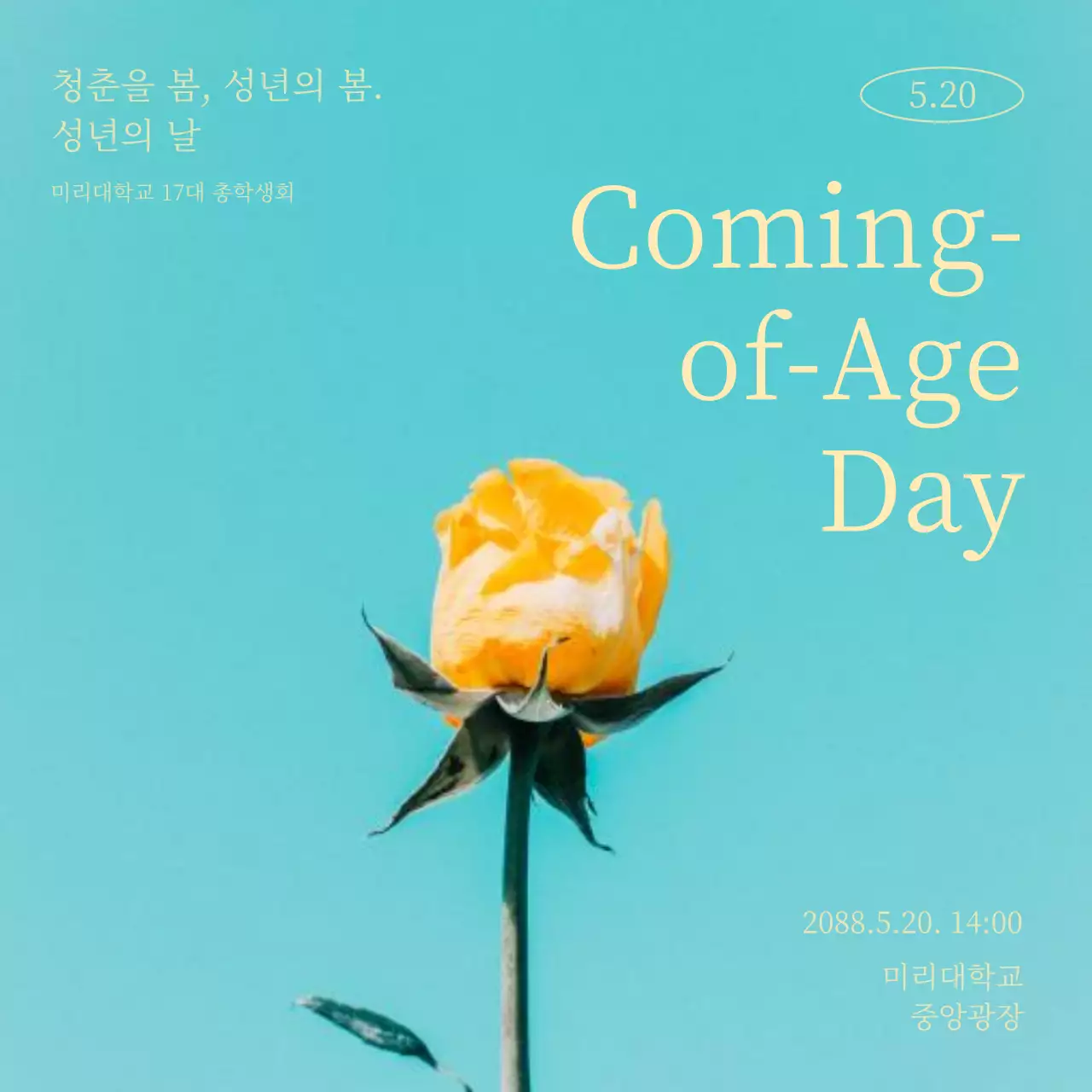 노랑과 하늘색의 빈티지한 성년의날 행사 홍보