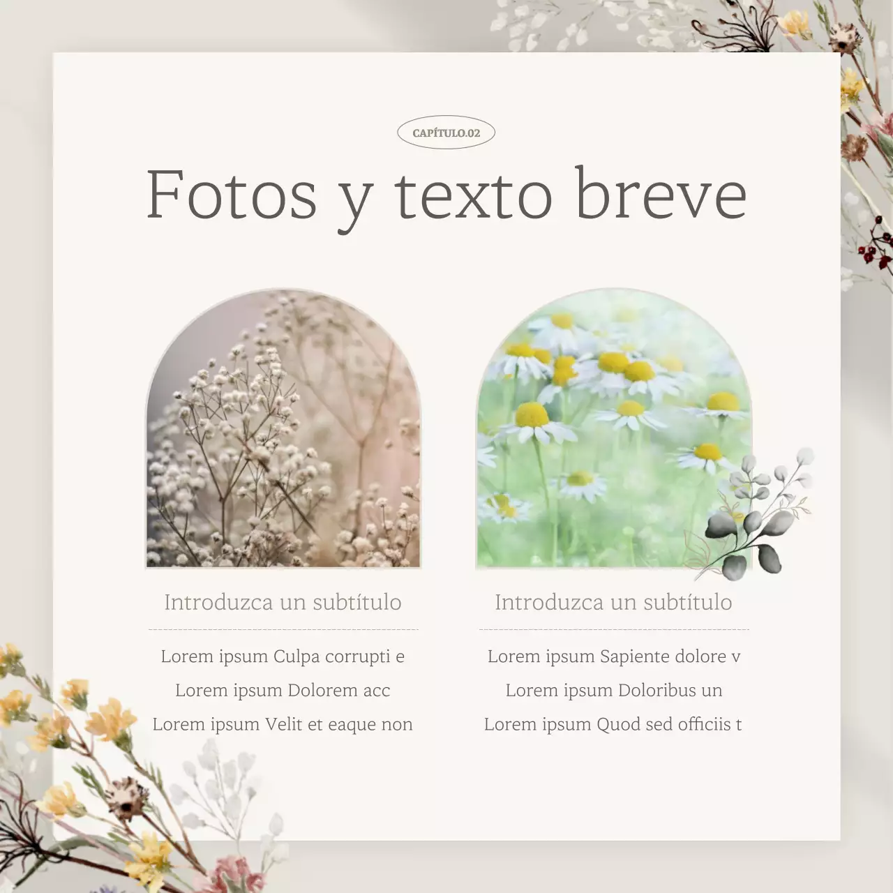 Promover un marketing de marca con clase en beige