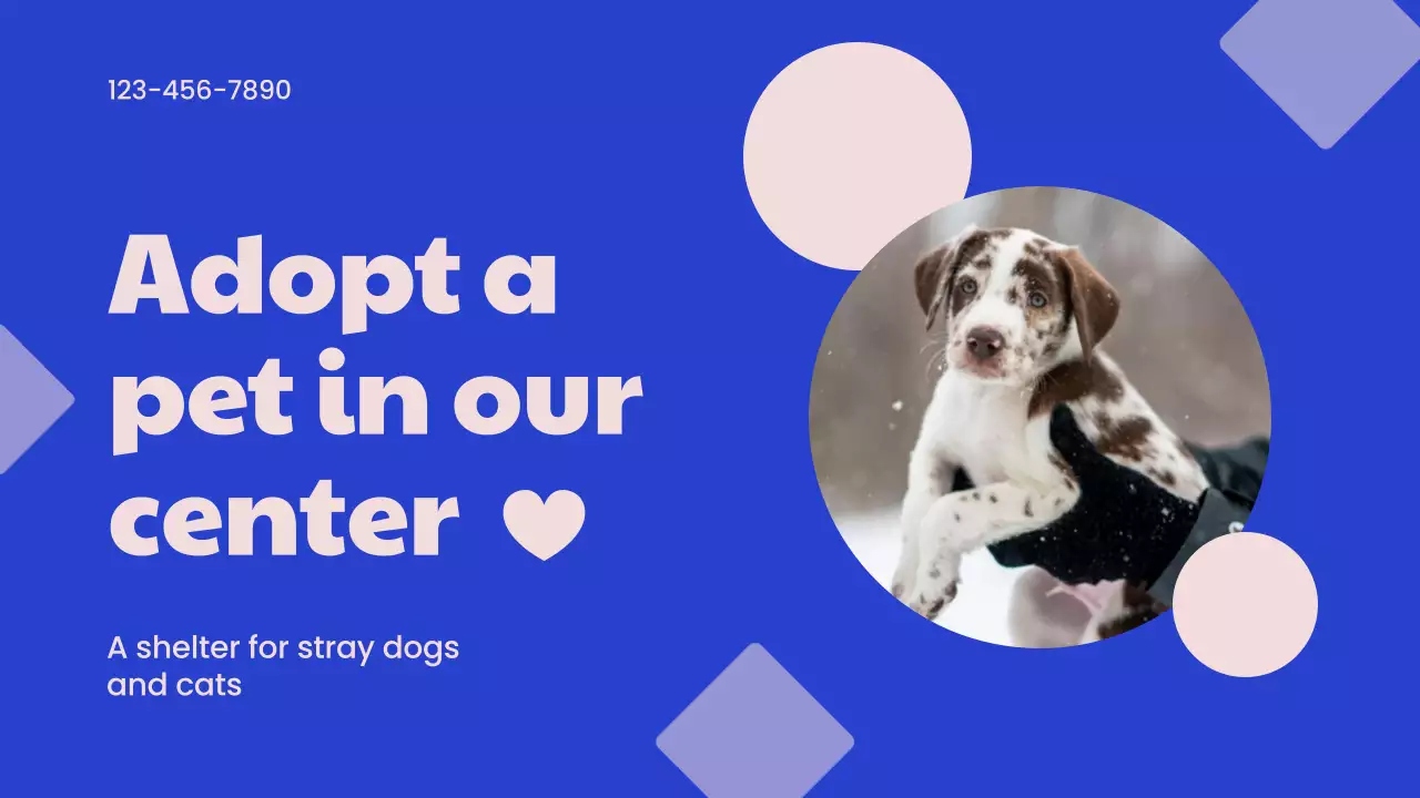 Blue Simple Pet Promotion Presentation