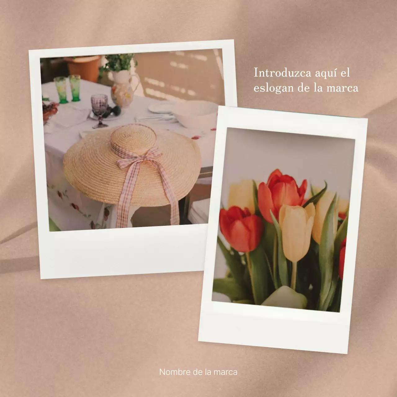 Promueva el marketing de marca en las redes sociales en rosa y marfil