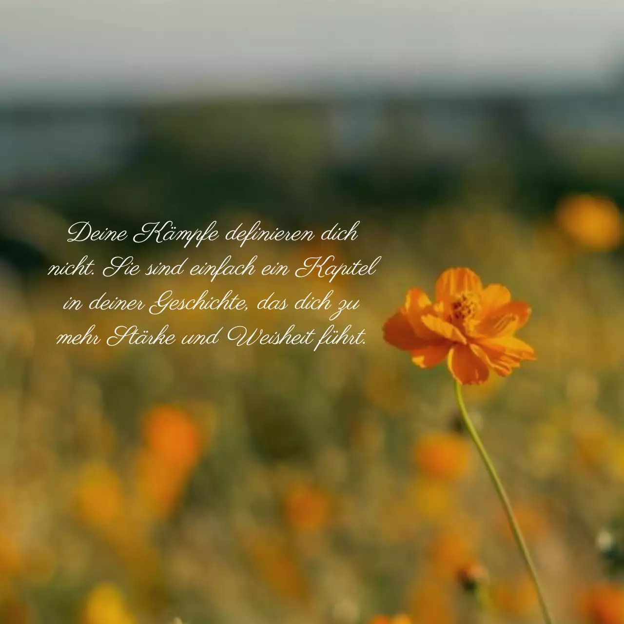 Orange und Beige Natürliche Inspiration Zitat Mentale Gesundheit Blog Promotion