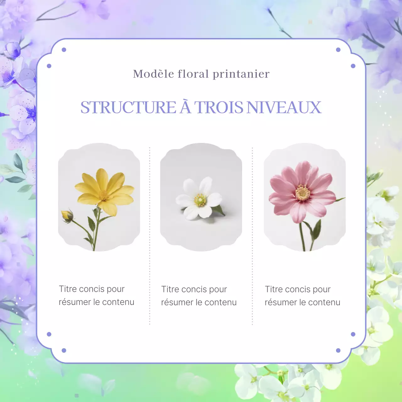 Présentation de fleurs printanières en hortensia mauve et naturel