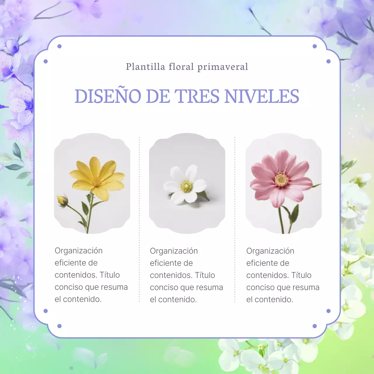 Presentación de flores de primavera de hortensias moradas y naturales