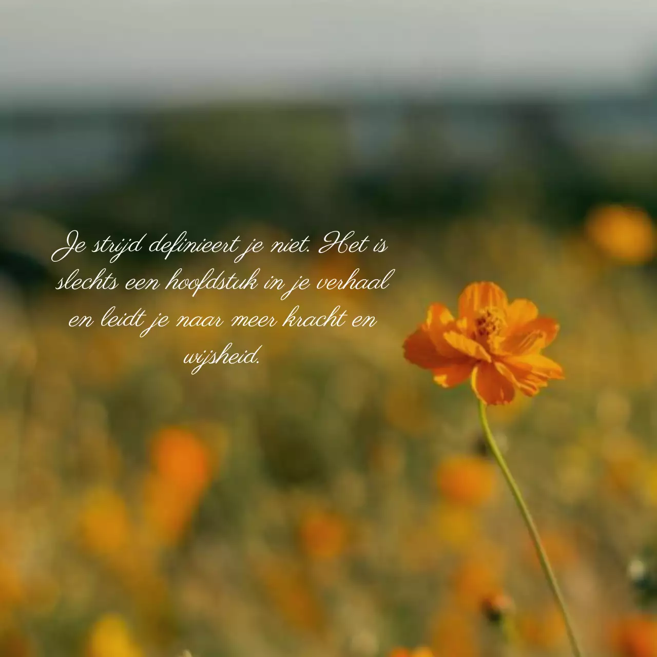 Oranje en Beige Natuurlijke Inspiratie Quote Geestelijke Gezondheid Blog Promotie