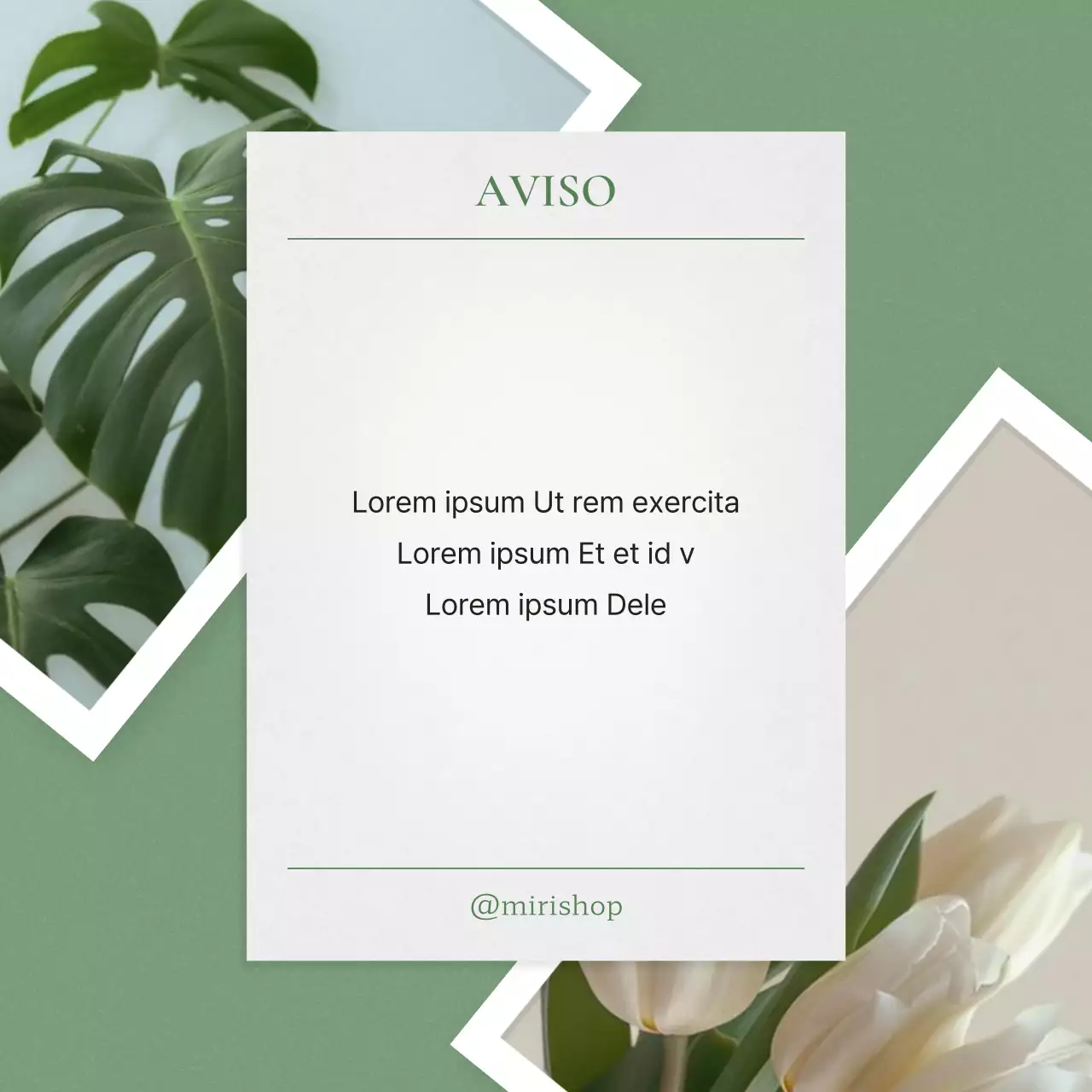 Anuncios ecológicos y modernos de marketing en redes sociales