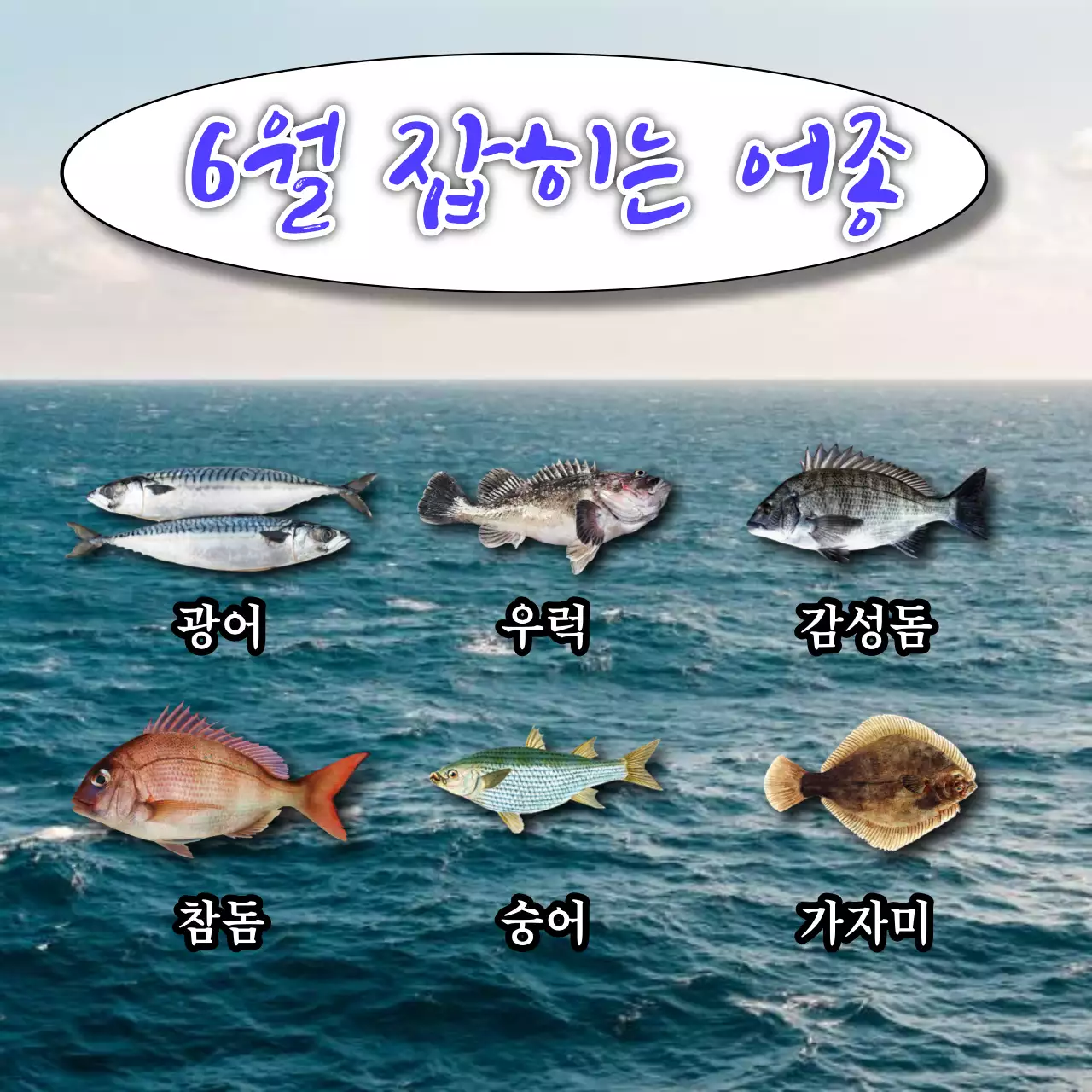 파랑과 노랑의 병맛스러운 바다낚시 체험 홍보