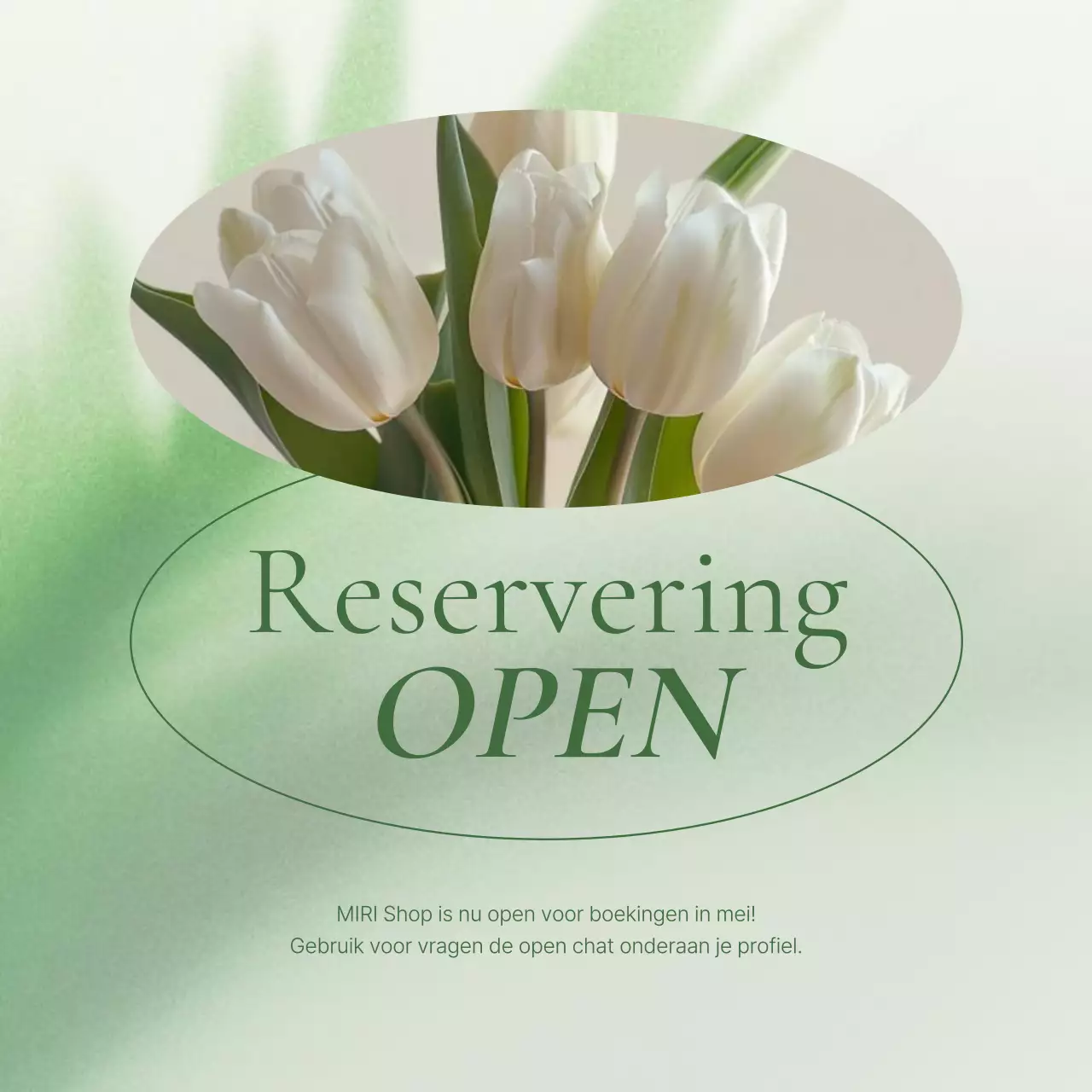 Promoot een groene, moderne feed voor sociale-mediamarketing