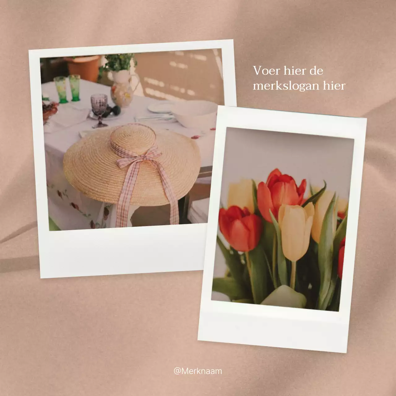 Promoot trendy brandingfeeds voor sociale-mediamarketing in roze en ivoorkleurig