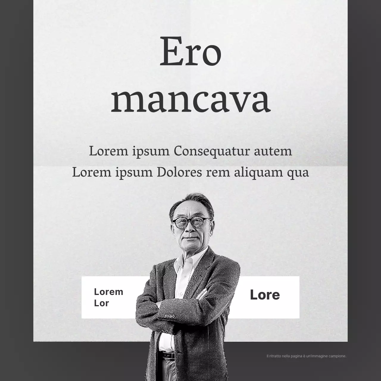 Promozione del candidato parlamentare grigia e minimalista