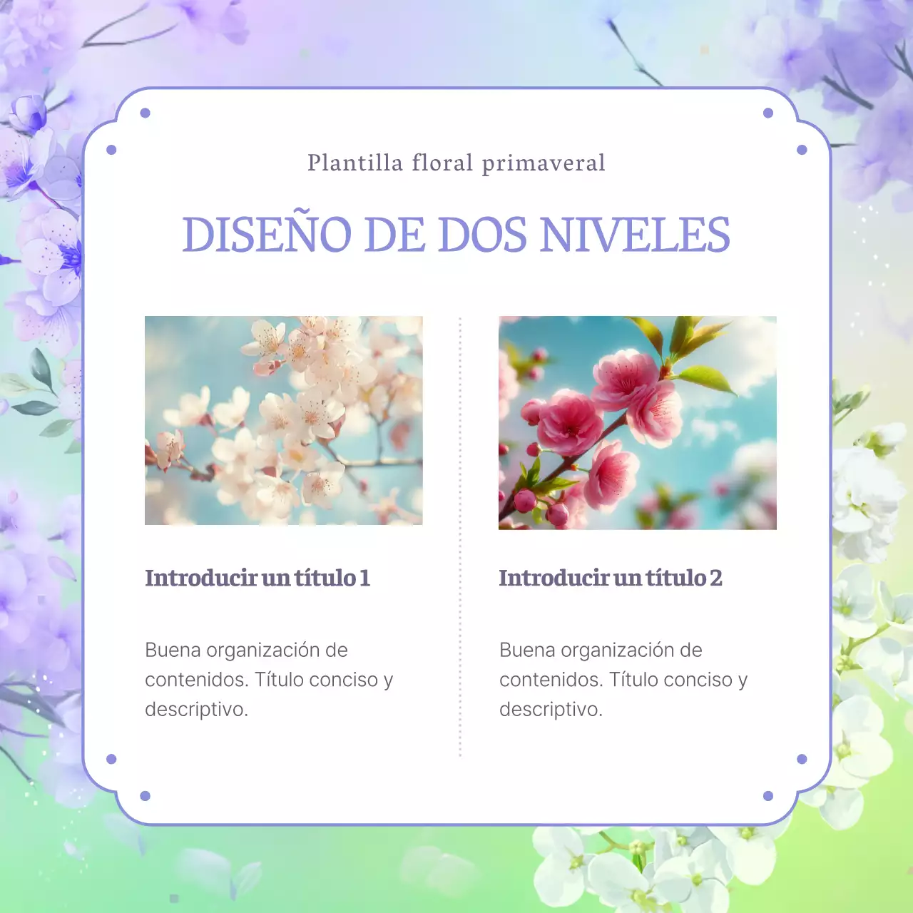 Presentación de flores de primavera de hortensias moradas y naturales