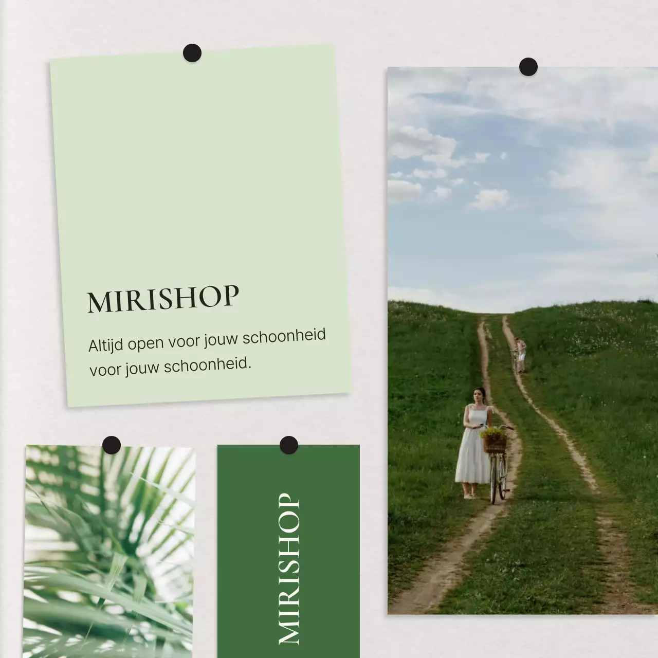 Promoot een groene, moderne feed voor sociale-mediamarketing