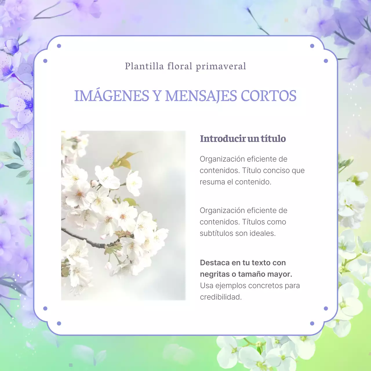 Presentación de flores de primavera de hortensias moradas y naturales