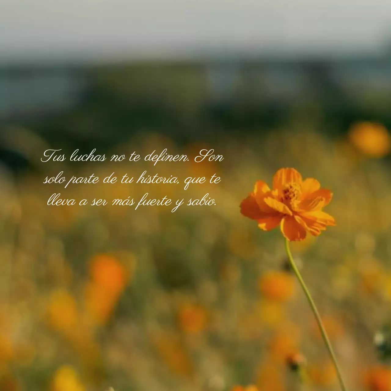 Naranja y Beige Inspiración Natural Cita Salud Mental Blog Promoción