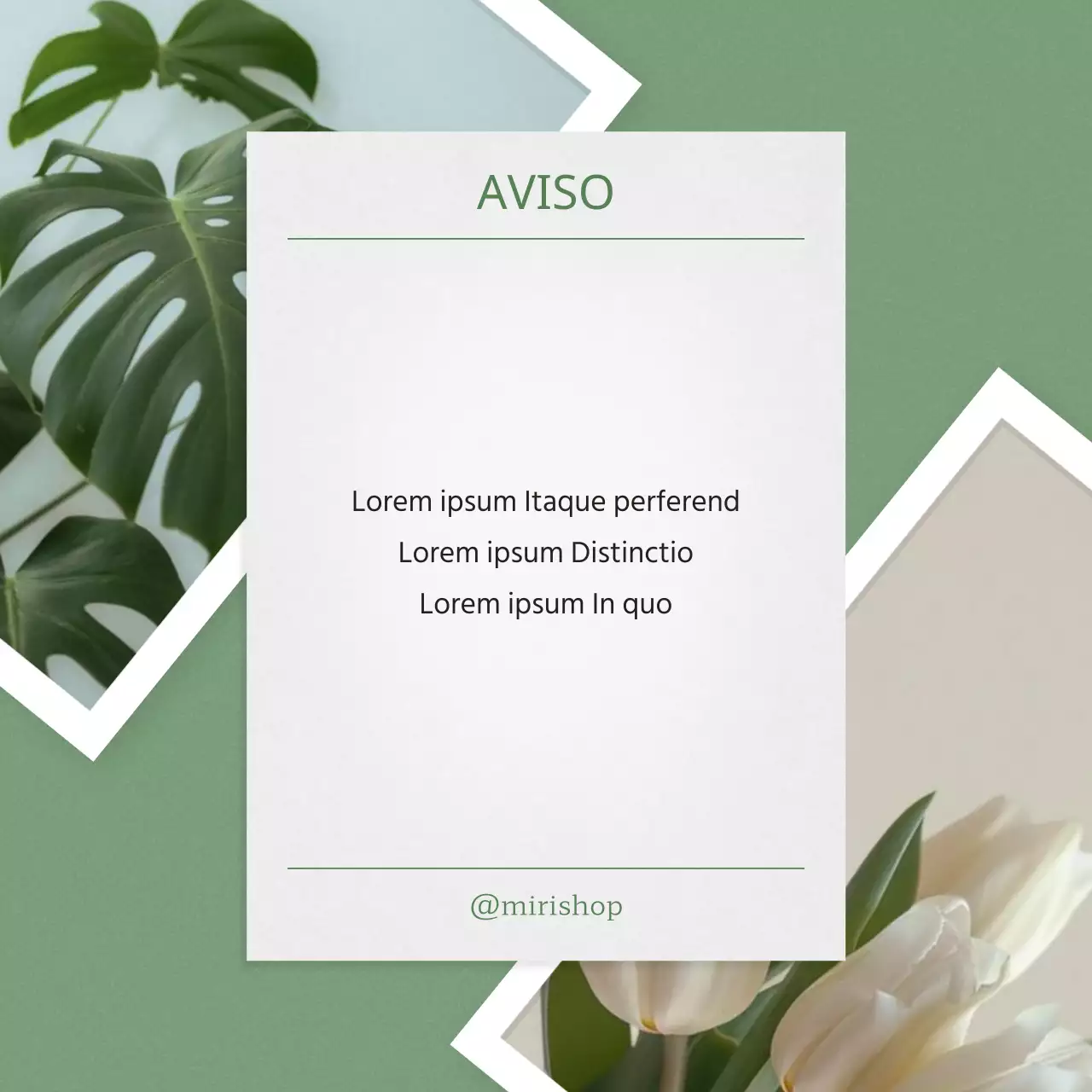 Anúncios de feeds de marketing nas redes sociais ecológicos e modernos