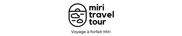 Logos de produits de voyage et de tourisme utilisant le bleu