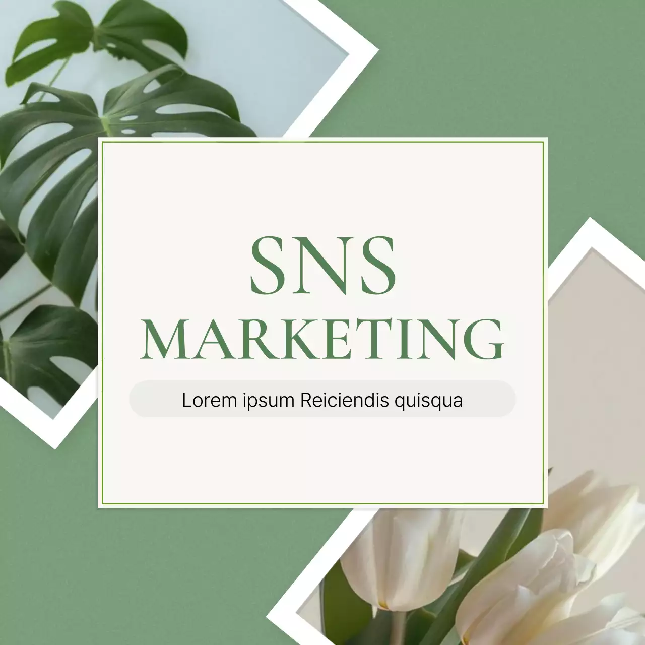 Promueva un marketing ecológico y moderno en las redes sociales