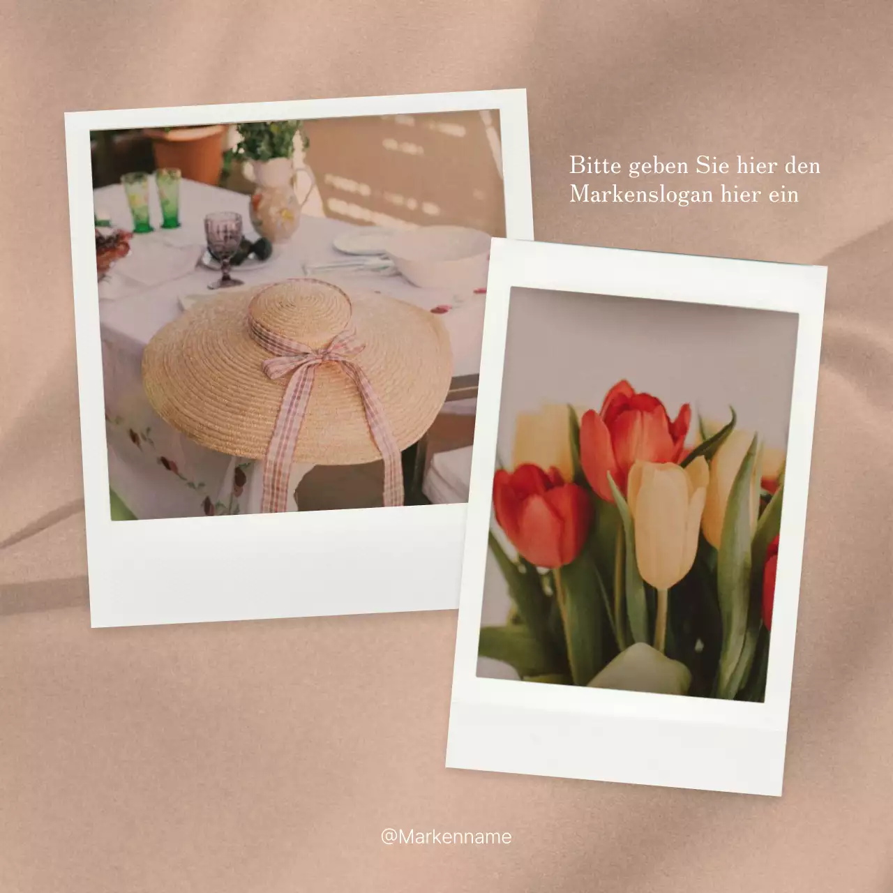 Fördern Sie trendige Social-Media-Marketing-Branding-Feeds in Rosa und Elfenbein