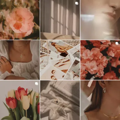 Promueva un canal de marketing en redes sociales de moda en rosa y marfil