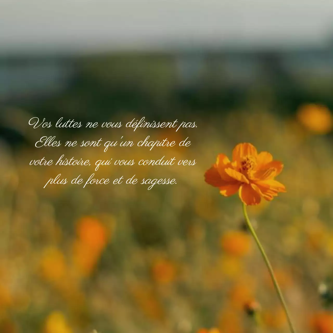 Orange et beige Inspiration naturelle Citation Santé mentale Blog Promotion